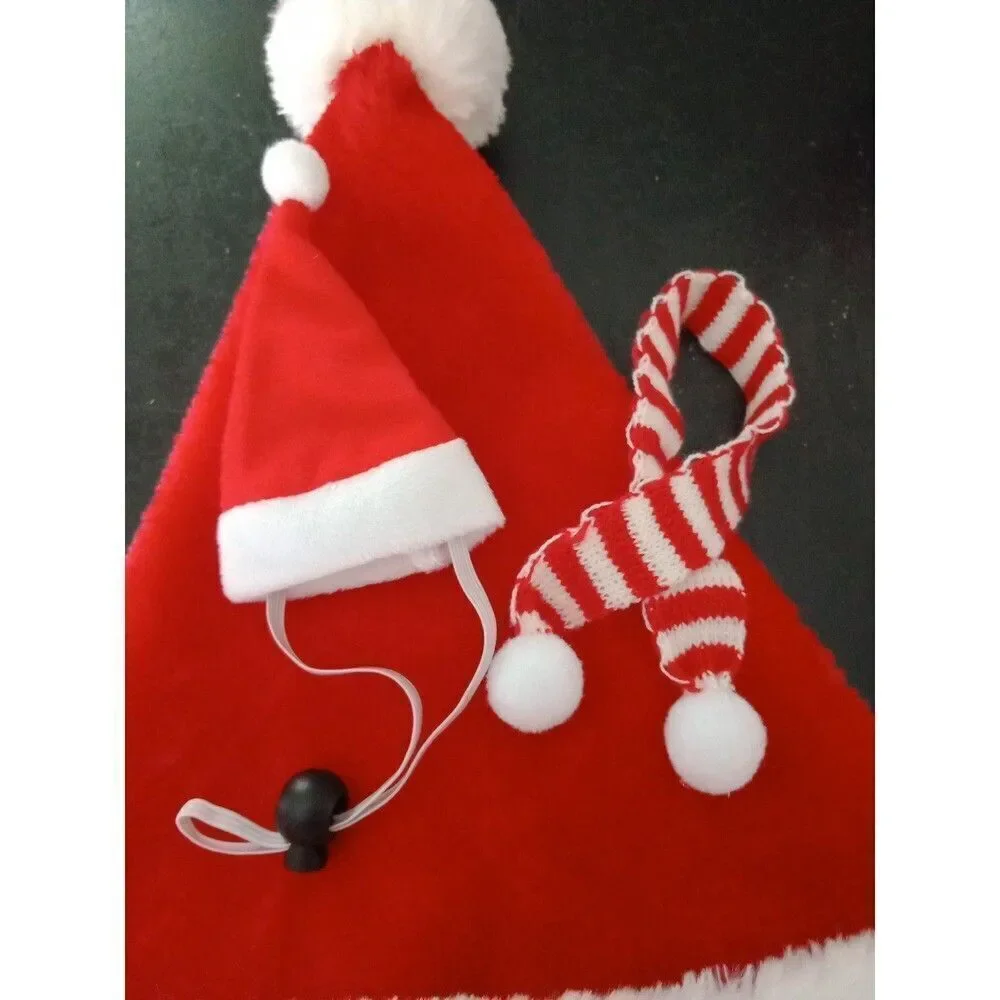 Reptile Snake Lizard Bunny Cat Hamster Santa Hat & Scarf + Kids Christmas